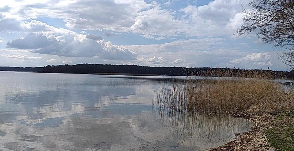 Cztery Pory Warmii Pluski Pokoje Do Wynajecia Daire Dış mekan fotoğraf