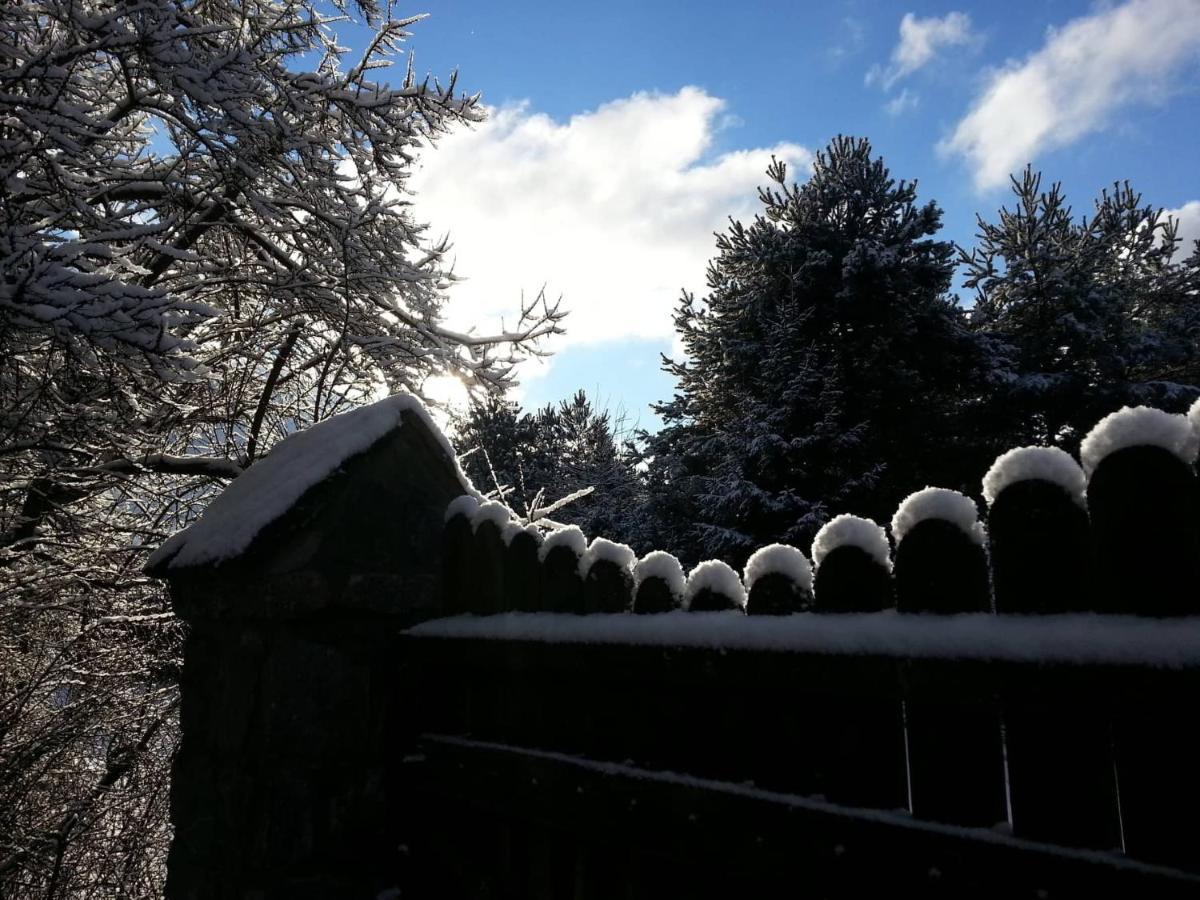 Cztery Pory Warmii Pluski Pokoje Do Wynajecia Daire Dış mekan fotoğraf